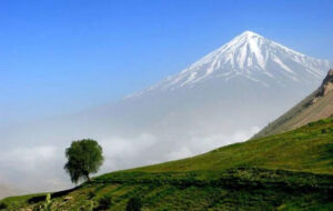 لیست واژگان محیط زیست در انگلیسی