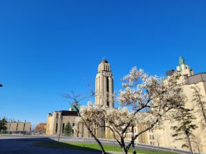 دانشگاه مونترال کانادا