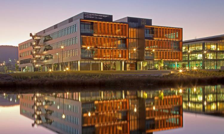 دانشگاه ولونگونگ